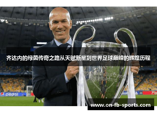 齐达内的绿茵传奇之路从天赋新星到世界足球巅峰的辉煌历程 齐达内的绿茵传奇之路从天赋新星到世界足球巅峰的辉煌历程