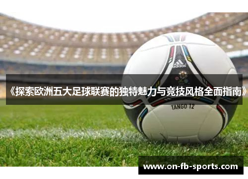 《探索欧洲五大足球联赛的独特魅力与竞技风格全面指南》